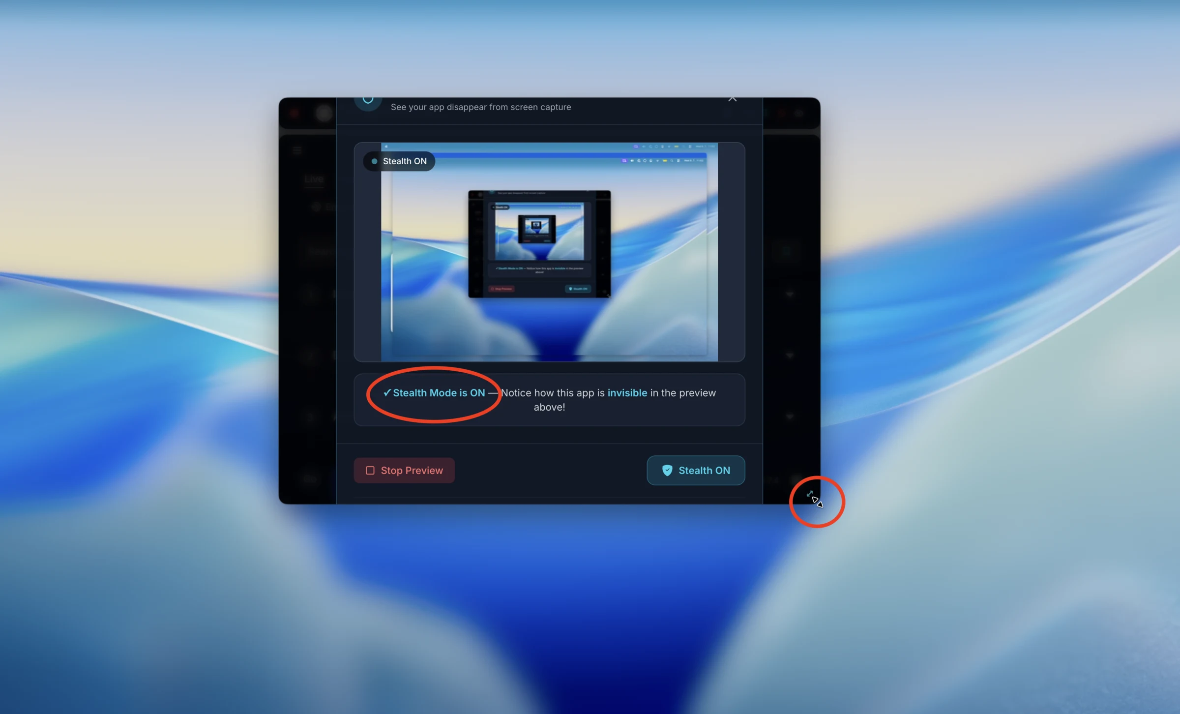 Cursor changing shape over LockedIn controls while stealth mode is shown as active