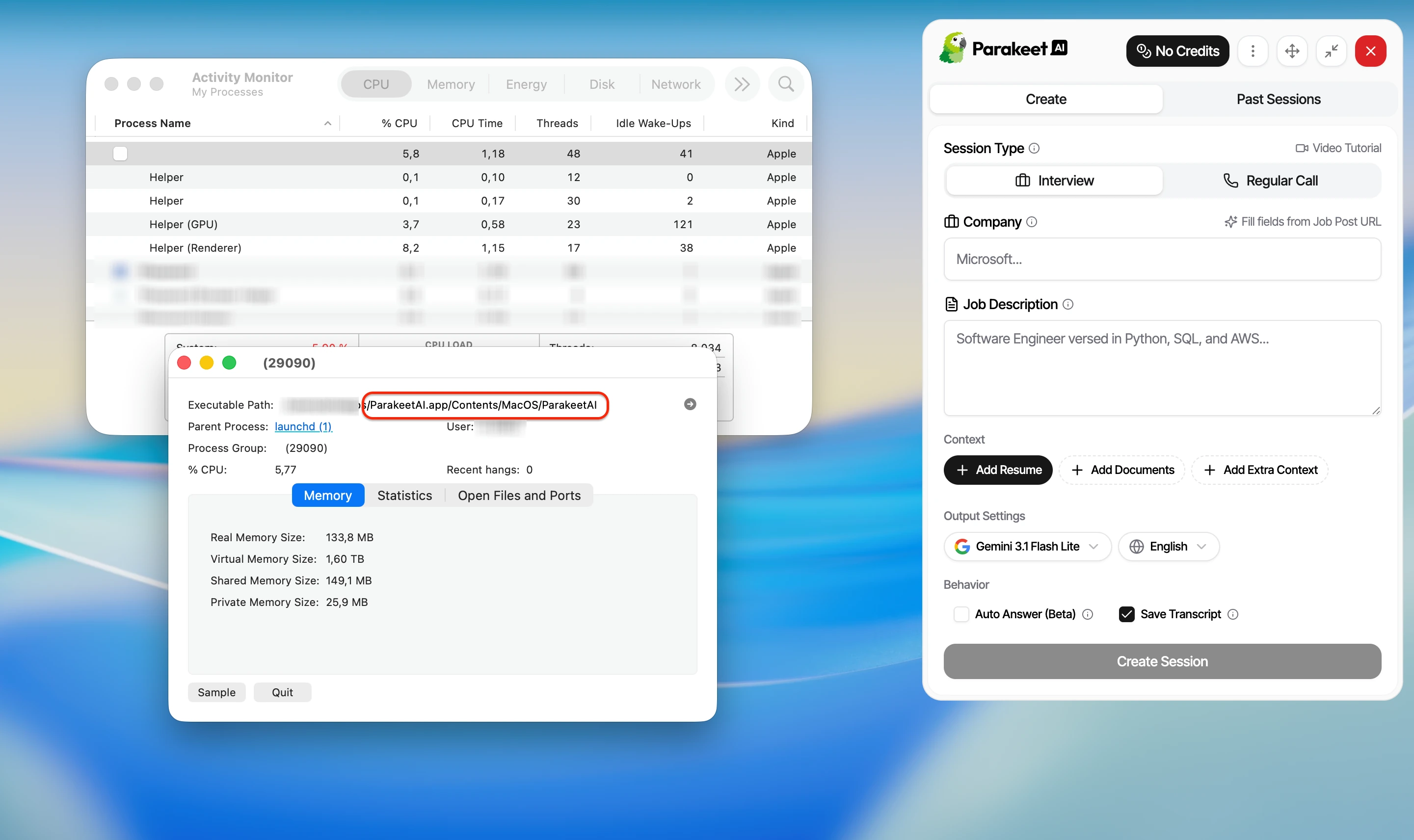 Activity Monitor inspection revealing the ParakeetAI executable path despite a blank process label